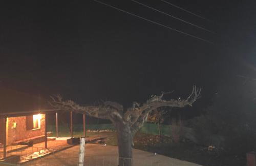 Κτήμα Βασίληγιάννη - Foto 67