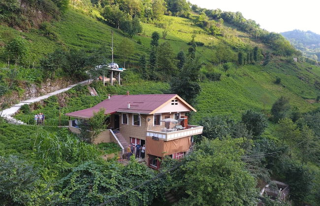 Yeşil Doğa Bungalov - Foto 1