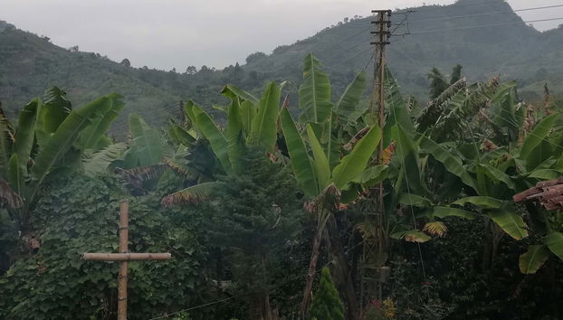 Guática & Quinchía Day Trip - Foto 5