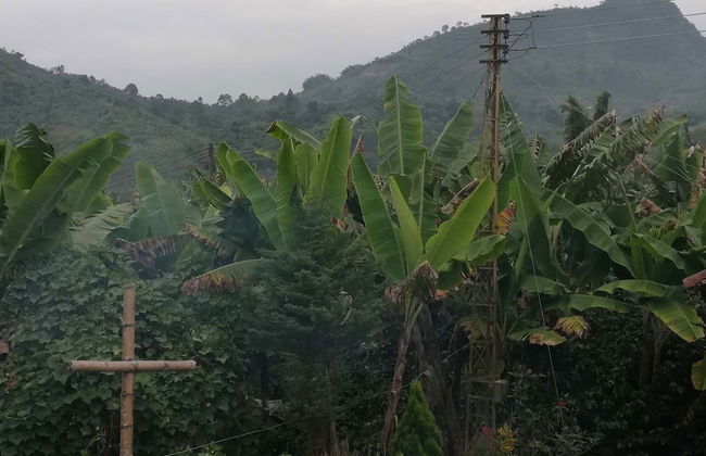 Guática & Quinchía Day Trip - Foto 5