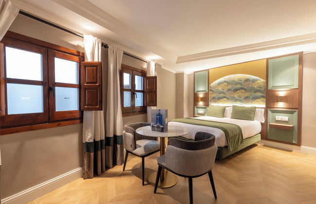 BIBO SUITES PALACIO DE PÓRTAGO - Foto 8