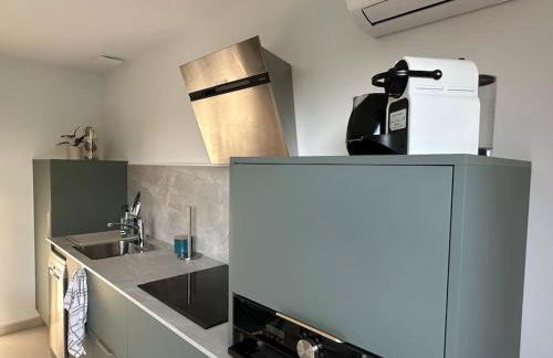 Green home Paris Disneyland - Foto 5