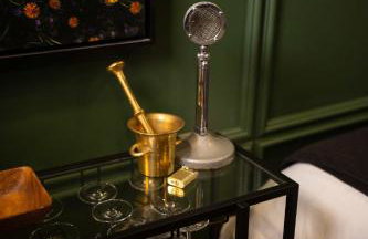 NEW Slytherin Studio - Dogs OK - Foto 20