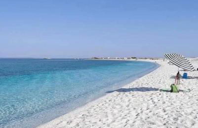 La Conchiglia sul Mare - Foto 1