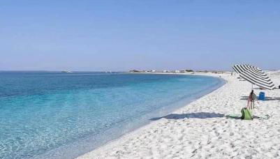 La Conchiglia sul Mare - Foto 1