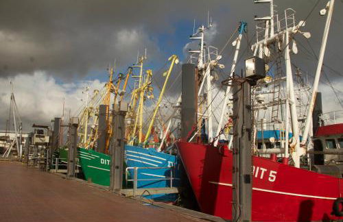 Haus Horizont - Foto 56