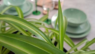 Hôte Stéphanois &parking - Foto 4