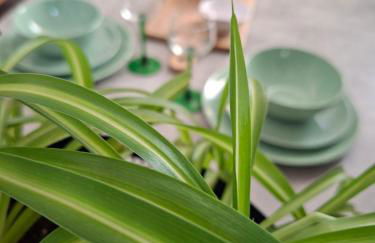 Hôte Stéphanois &parking - Foto 4