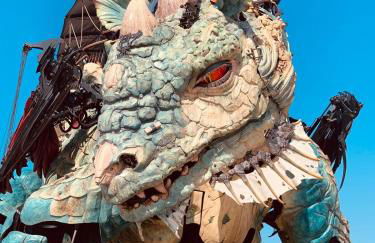 La green Room Calais Port - Foto 13