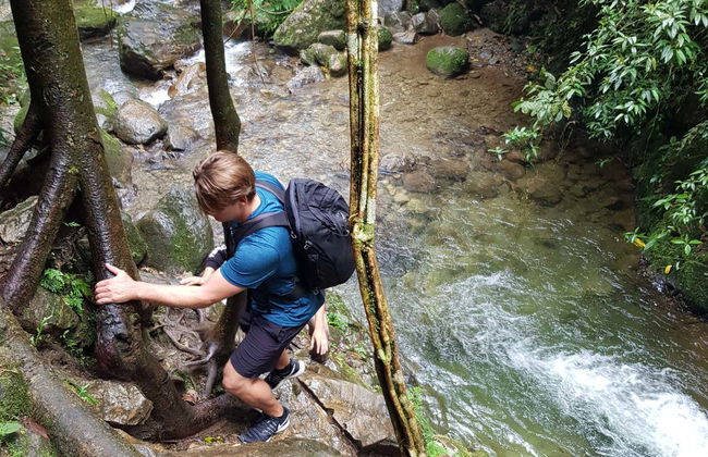 Chorro de las Campanas Waterfall Trip - Photo 10