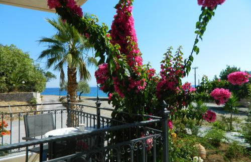 Filyra Xenonas - Foto 22