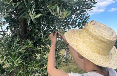 Monte da Broa - Foto 36