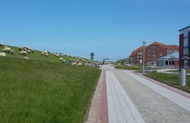 Holiday Apartment Storm Surge - Foto 20