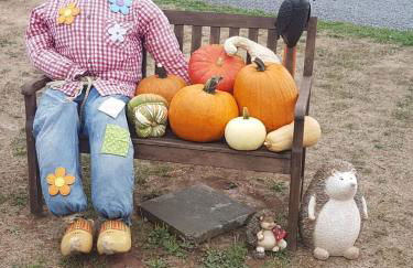 Ferienhaus Nr. 52 im Ferienpark am Twistesee - Foto 12