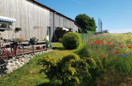 Pension zum Wiesengrund - Photo 12