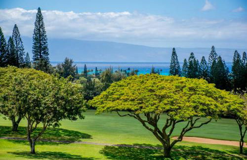 Kapalua Golf Villa 16V 2 - Foto 24