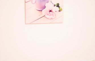 Apartman Lastavica - Foto 7