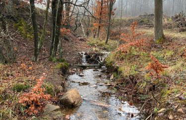 Charaktervolle Whg mit Parkplatz nähe Kassel - Foto 51