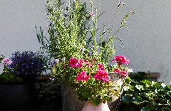 Agroturystyka Akacjowe Zacisze - Foto 53