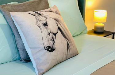 Janelas do Governador - Foto 21