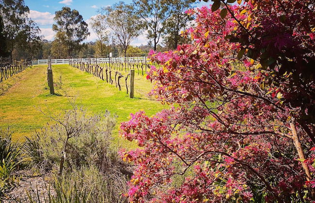 McCaffrey's Estate - Photo 34