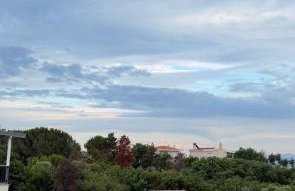Platan Paradise - Foto 51