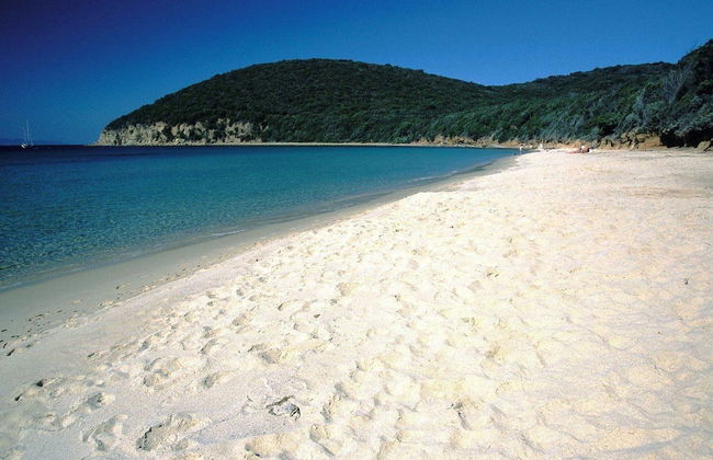 Nautilus B&B Suite Design - Photo 29