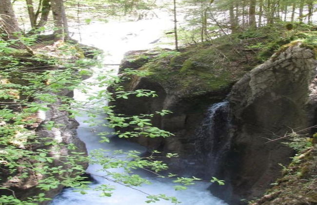 Dog-friendly Chalet in Bregenzerwald - Photo 29