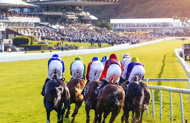 Idyllic Countryside Annexe Near West Wittering Beach - Foto 25