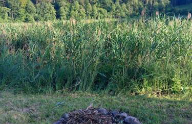 Cały dom Bezpośrednio nad jeziorem - Foto 15
