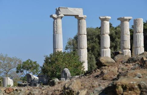 The fig tree house - Foto 44