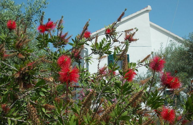 Detached House Miketa - Foto 57