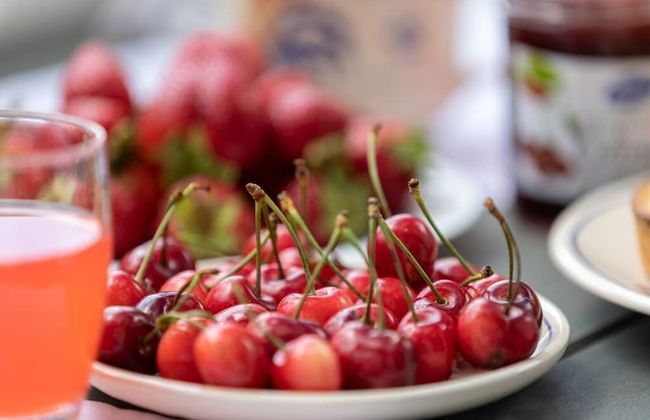 La Torretta - Photo 22