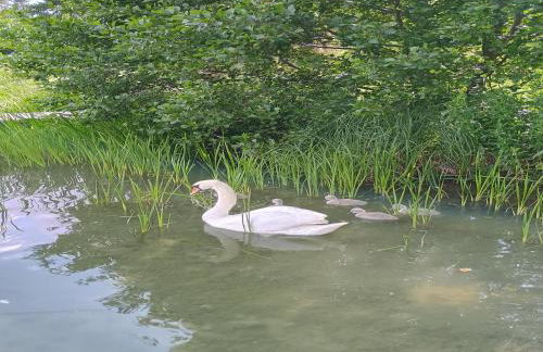 Holiday Home in Parchowo by Lake Mausz - Foto 36