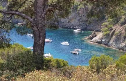 Puerto Simona 11A - Photo 47