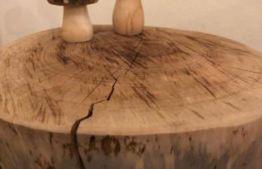 Chalet Sweet Mountain - Photo 17