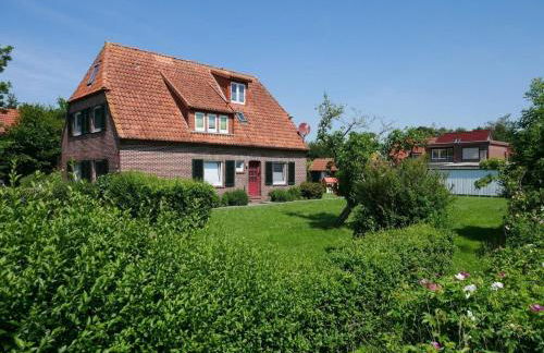 Apart Lachmöwe - Foto 15