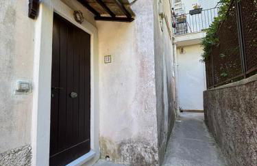 Tender to Carafa - Foto 28