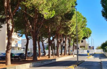 Design a PSG con aria condizionata - Foto 6