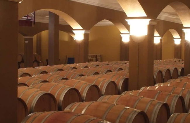 Visita alle cantine Romale - Foto 1