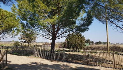 Domaine de L'Outarde Canepetiére Gîte A - Foto 2