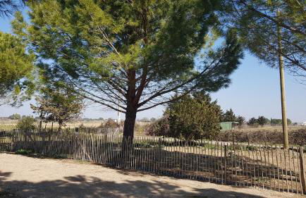 Domaine de L'Outarde Canepetiére Gîte A - Foto 2