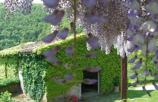 Casa Uscioli - Foto 28