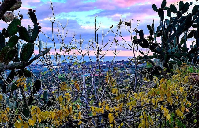 Etna Panoramic Villa With Swimming Pool - Foto 72