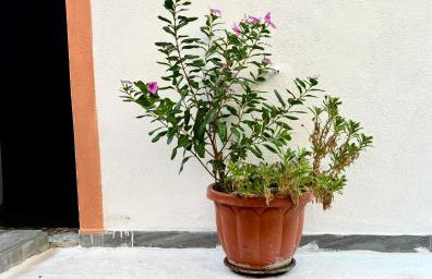 Traditional Corfiot House - Foto 73