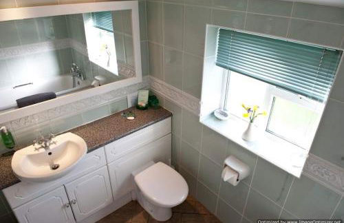 Foxes Reach - nrTintern Wye Valley hot tub EV - Foto 33