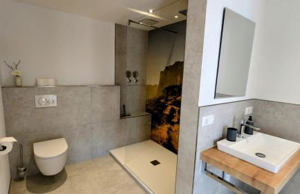 Ferienwohnung Alpenlift in Bolsterlang Sommerbergbahn kostenlos - Photo 17