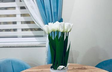 Apartamenty Kamienica Arte 1 - Foto 12