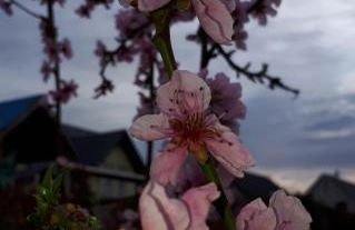 Rieslingstube bei Britta & Joachim - Foto 36
