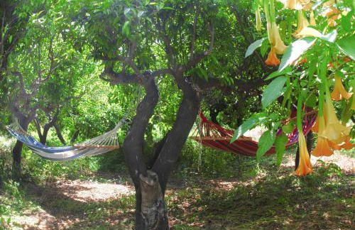 Phlea Farm Studios - Foto 19